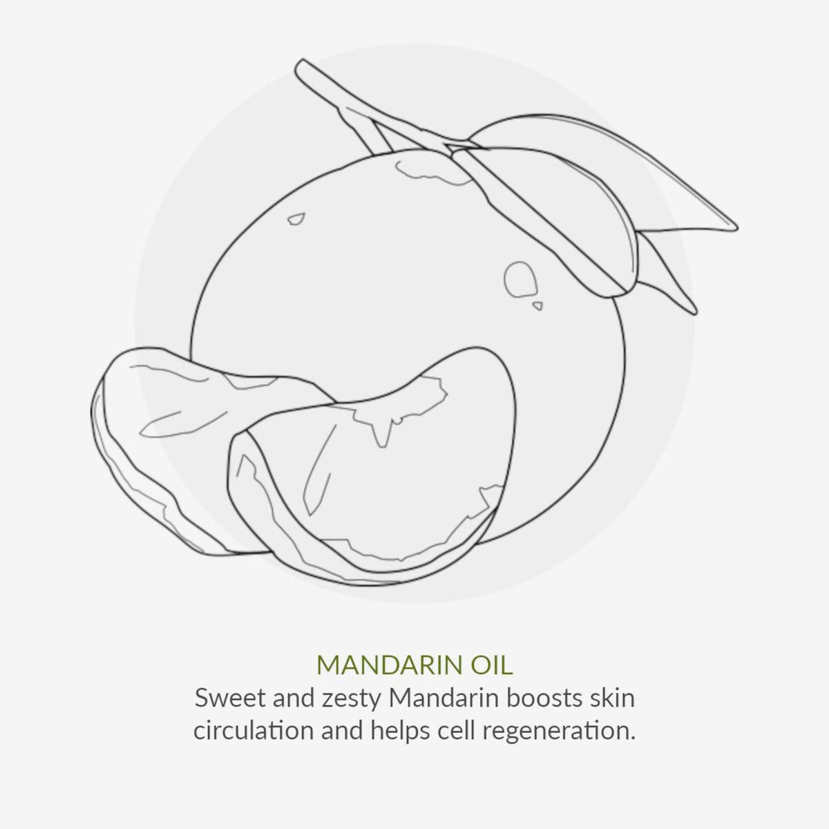 Organic Children Mandarin and Aloe Vera Fluoride Toothpaste - Free Shipping Worldwide