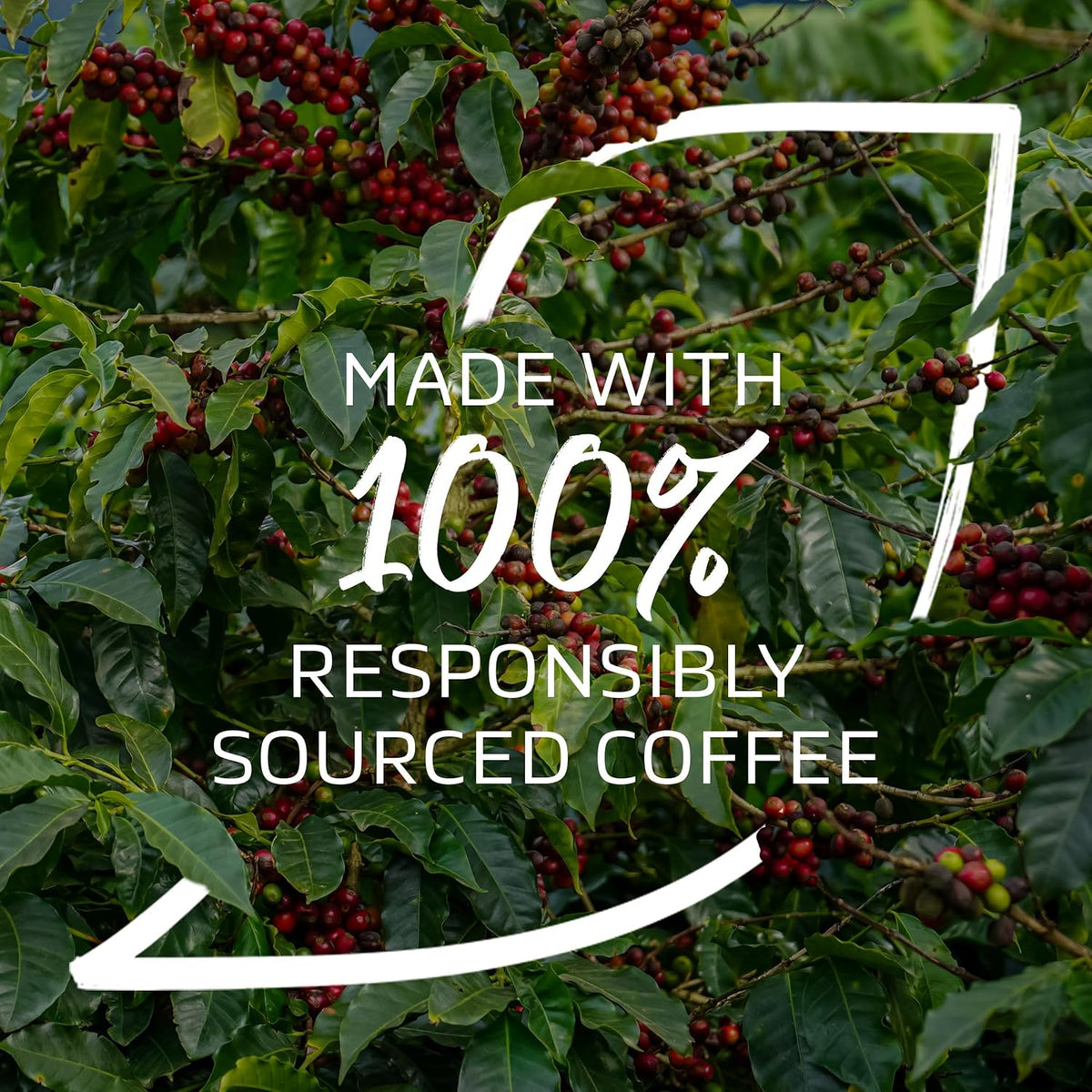 NESCAFÉ Organic Fairtrade Instant Partners Blend Coffee 500g Tin - Free Shipping Worldwide