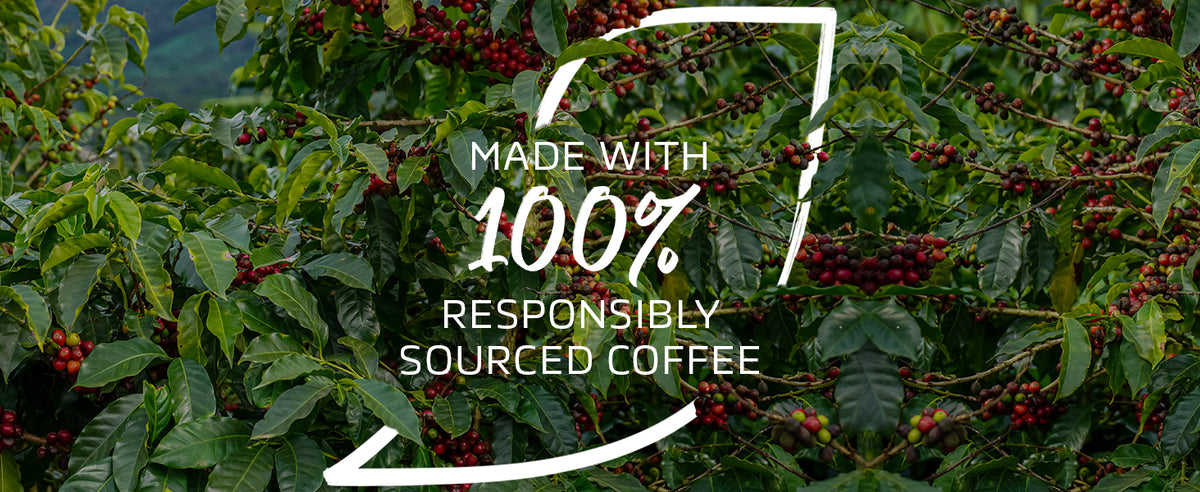 NESCAFÉ Organic Fairtrade Instant Partners Blend Coffee 500g Tin - Free Shipping Worldwide